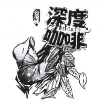深度咖啡及圖