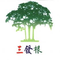 三發根及圖