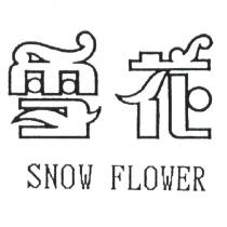 雪花 SNOW FLOWER