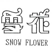 雪花 SNOW FLOWER