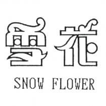 雪花 SNOW FLOWER