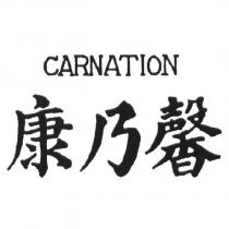 康乃馨 CARNATION