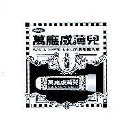 萬應威薄兒 WAN IN VAPOR INHALER 及圖