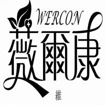 薇爾康.維 WERCON 及圖