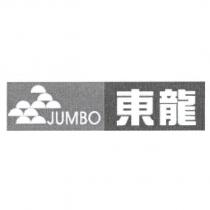東龍 JUMBO 及圖