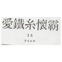 愛鐵絲懷覇 IS アイエス 