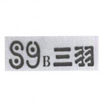 三羽 B 及圖
