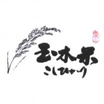 鼎三玉木米 こしひかり 及圖