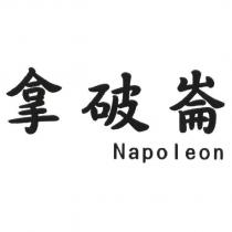 拿破崙 Napoleon