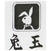 玉兔及圖