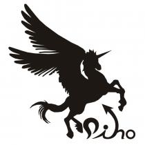 DINO 及圖