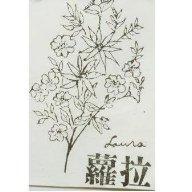 蘿拉及圖 Launa