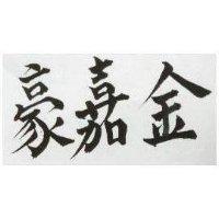 金嘉豪
