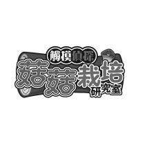 觸摸偵探 菇菇栽培研究室設計圖及圖