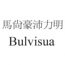 馬尚豪沛力明 Bulvisua