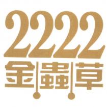 金蟲草 2222 & Gold Cordyceps in Chinese Characters in Gold