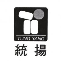 統揚 TUNG YANG 及圖