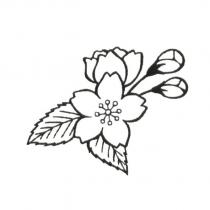 花與葉圖形