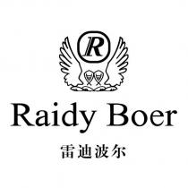 Raidy Boer 雷迪波爾及圖形