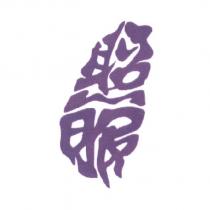 照服設計圖