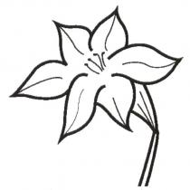 連心堂生技有限公司設計圖