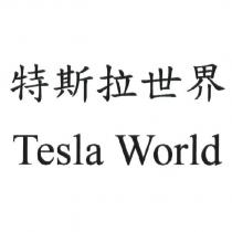 特斯拉世界 Tesla World