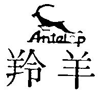 羚羊 ANTELOP 