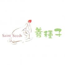 善種子 Saint Seeds 及圖