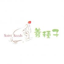 善種子 Saint Seeds 及圖