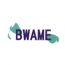 BWAME 及圖