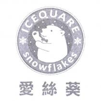 愛絲葵 ICEQUARE snowflakes 及圖