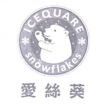 愛絲葵 ICEQUARE snowflakes 及圖