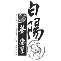 白陽華樂團及圖 WHITE SUNRAY ORCHESTRA