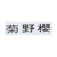 菊野櫻