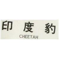 印度豹 CHEETAH 