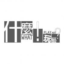 什麼玩藝 WHAT PLAY ART !?