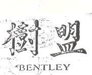 樹盟 BENTLEY 