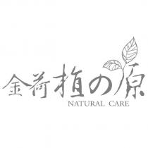 金荷植の原