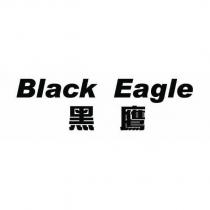 黑鷹 Black Eagle