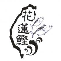 花蓮鰹及圖