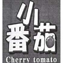 Cherry tomato 小番茄設計圖
