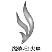 燃燒吧!火鳥及圖