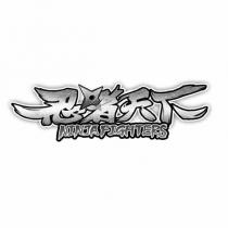 忍者天下 NINJAFIGHTERS