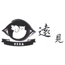 遠見 VECA 及圖