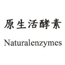 原生活酵素 Naturalenzymes