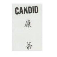 康蒂 CANDID
