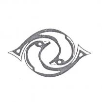 雙魚設計圖