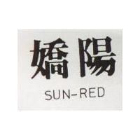 理研 RIKEN 
