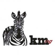 kming 及斑馬圖