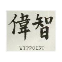 偉智 WITPOINT 